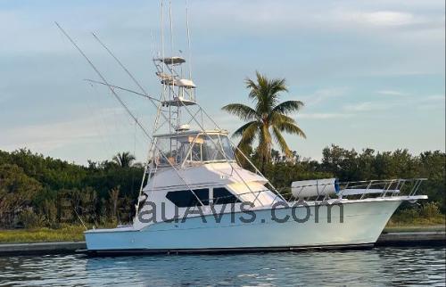 Hatteras 45 Convertible fiche technique et avis